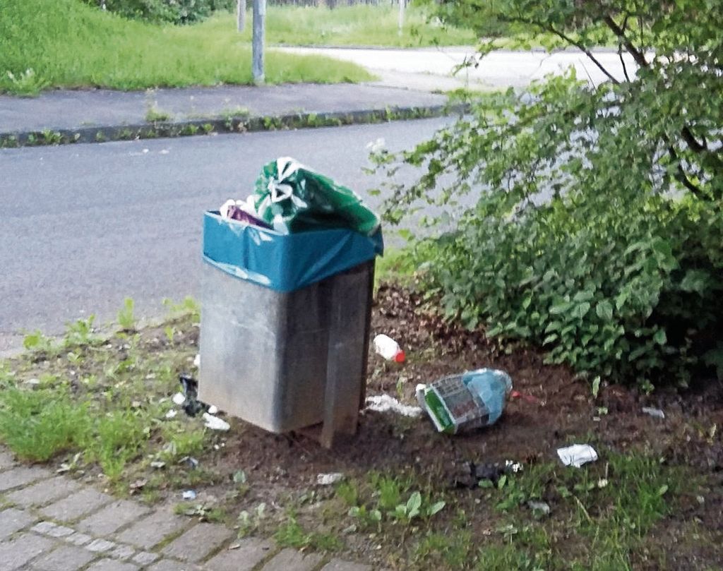 HOFEN:  Gartenamt will im Kochelseeweg Behälter mit Deckel installieren: Mülleimer mit illegalem Abfall abgebaut