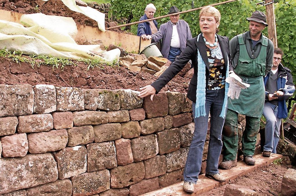 UNTERTüRKHEIM: Steillagenförderprogramm der Stadt bislang erfolgreich: Sanierung der Trockenmauern droht das Aus