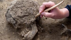 6000 Jahre alte Totenhütten bei Nauendorf entdeckt