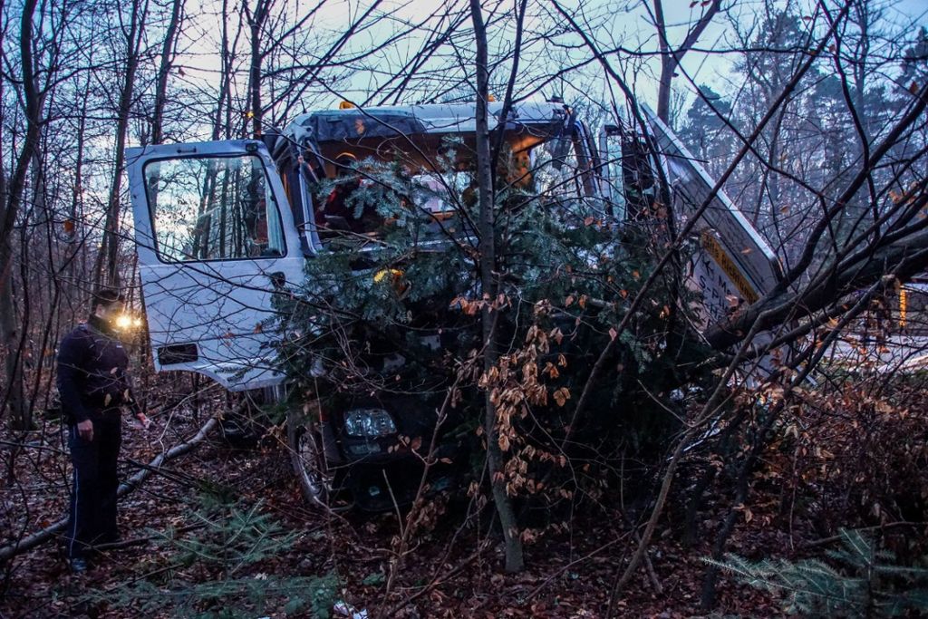 Fahrer nicht verletzt: Lastwagen in Wald gefahren