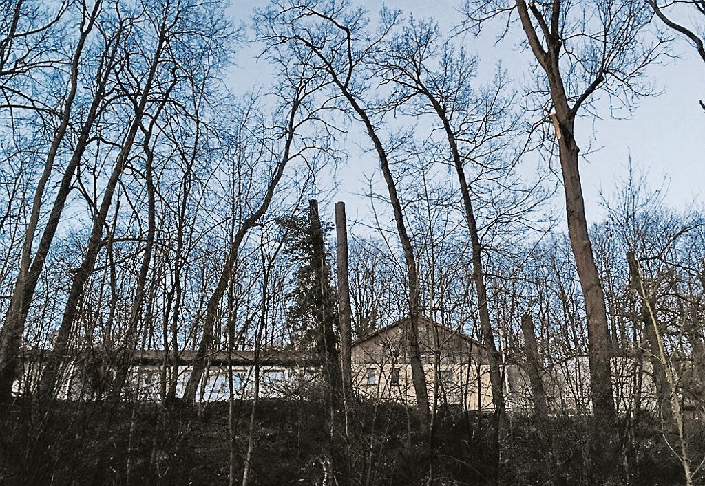 MüHLHAUSEN:  Anwohner begrüßen Maßnahme des Garten-, Friedhofs- und Forstamts: Bäume in Bachhalde zurückgeschnitten