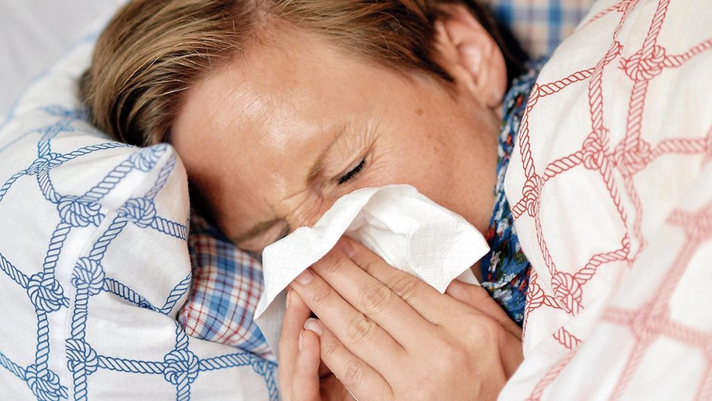 UNTERTüRKHEIM:  Experte spricht sogar von einer Epidemie - Besondere Belastungen für die Notaufnahmen der Krankenhäuser: Hohe Zahl von Grippekranken