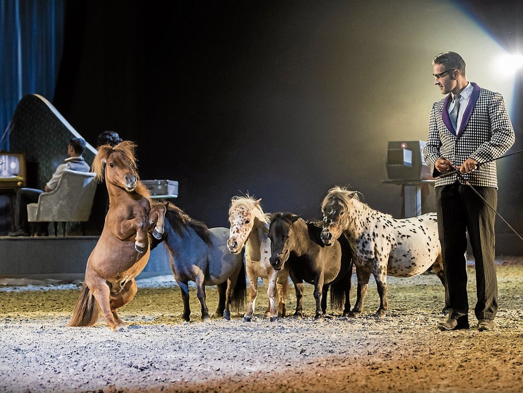BAD CANNSTATT:  Die Pferde-Show Apassionata begeistert mit „Cinema of Dreams“ ein bunt gemischtes Publikum: „Film ab“ in der Manege