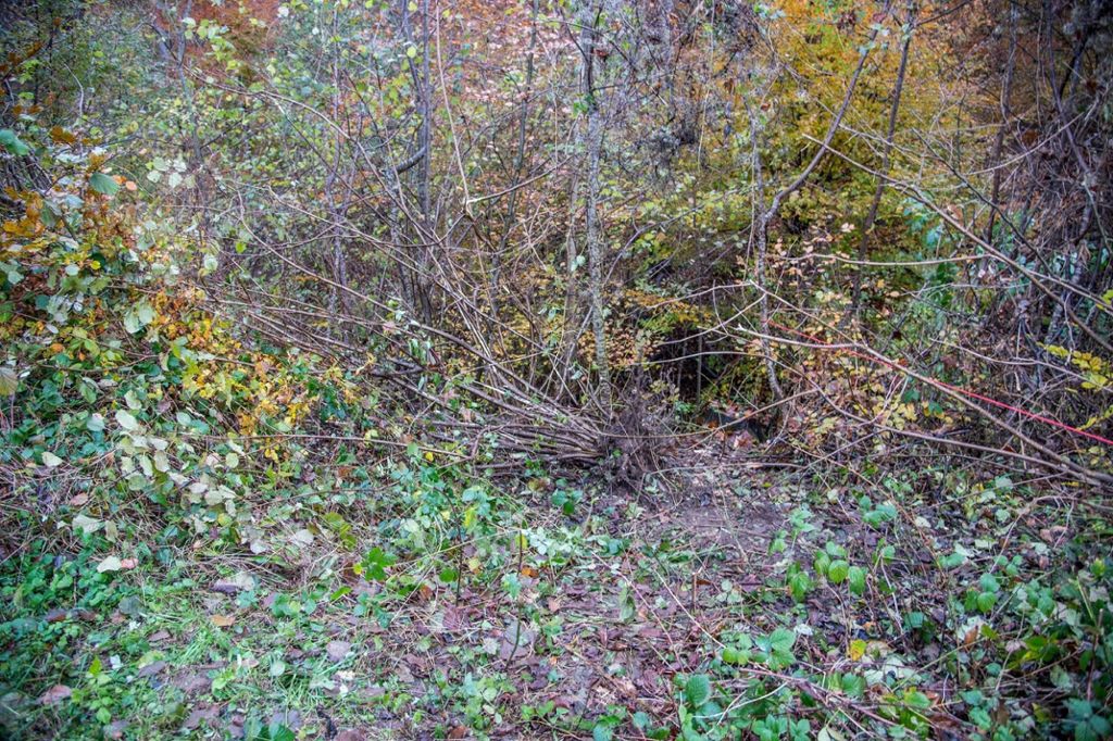 Leiche wurde 1999 in einem Wald bei Pfullingen gefunden: Mord an jungem Mann nach 17 Jahren geklärt