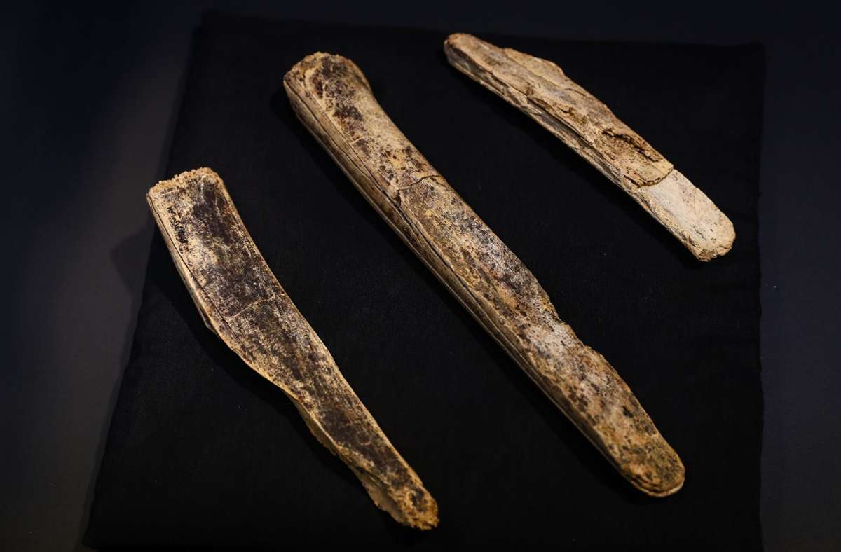 Steinzeitwerkzeug aus der Schwäbischen Alb: Meißel aus Mammut-Elfenbein sind „Fund des Jahres“