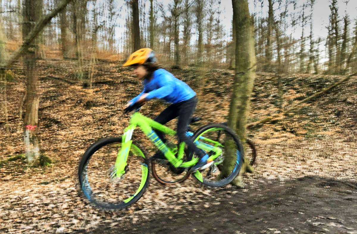 Waldkonzept für Stuttgart: Drei neue und legale Trails für die Mountainbiker