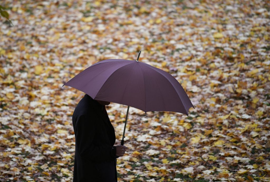 Meteorologen erwarten typisches Herbstwetter am Wochenende