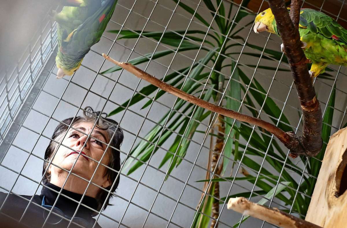 Sylvia Stadelmann hat das Erbe ihres Mannes übernommen und kümmert sich jetzt um die Papageien.