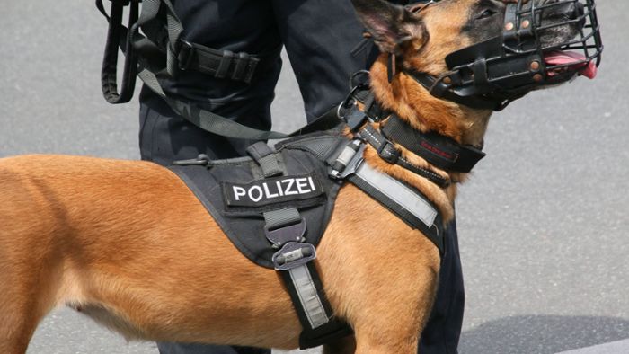 Polizeihund  beißt Macheten-Mann in den Arm