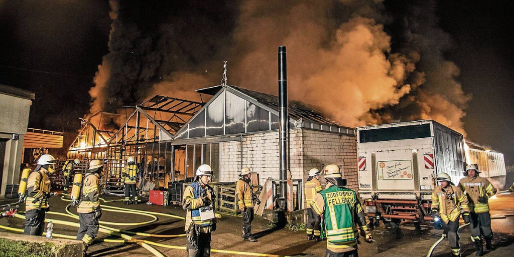 Ein 800 Quadratmeter großes Gewächshaus im Dietbach ist gestern ausgebrannt. Der Schaden wird auf 300 000 Euro geschätzt. Foto: SDMG/Friebe