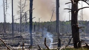 Waldverband warnt vor größeren Bränden wegen Trockenheit