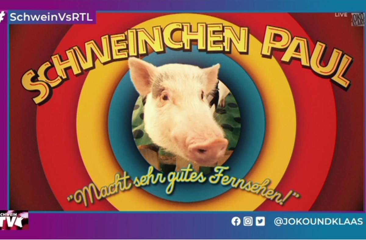 Joko und Klaas greifen wieder an: Schweinchen Paul im Rennen gegen RTL-Sommerhaus
