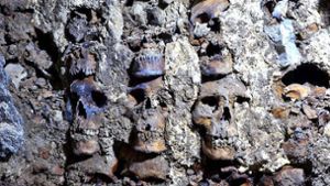 Forscher entdecken Mauer aus Hunderten Schädeln