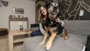 Warum Hund Schnuffel einen traurigen Rekord hält