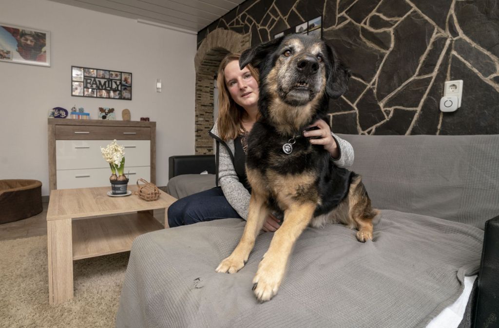 Tierheim Stuttgart: Warum Hund Schnuffel einen traurigen Rekord hält
