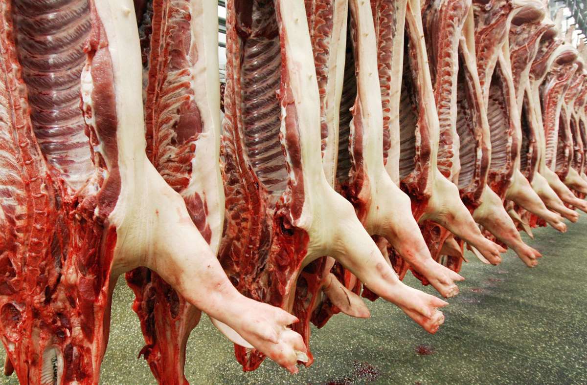 Schlachthöfe in der Kritik: Agrarminister fördert hofnahe Schlachtung von Rindern und Schweinen