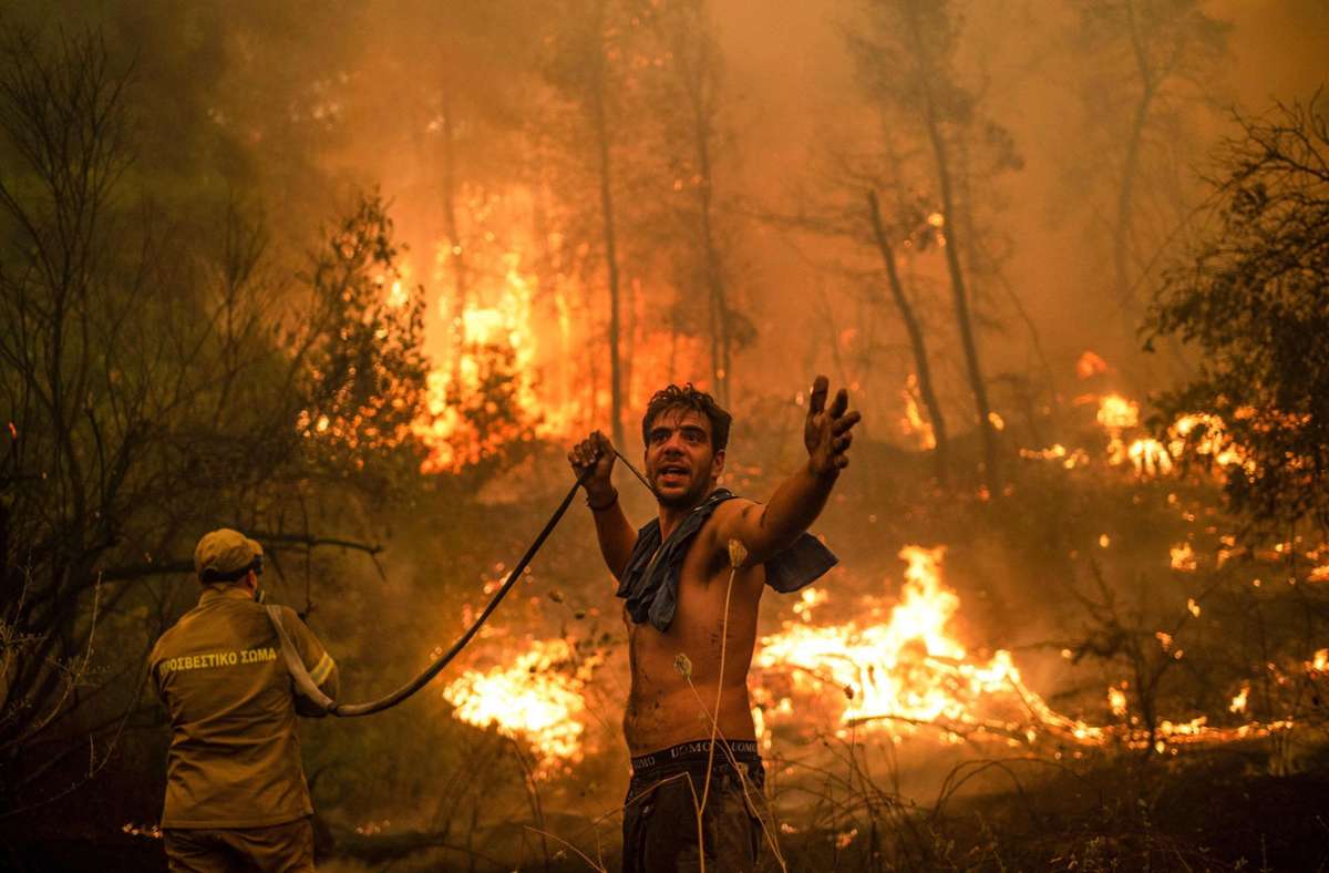 Brandkatastrophe in Griechenland: „Wir haben kein Wasser!“ - dramatische Szenen auf Euböa