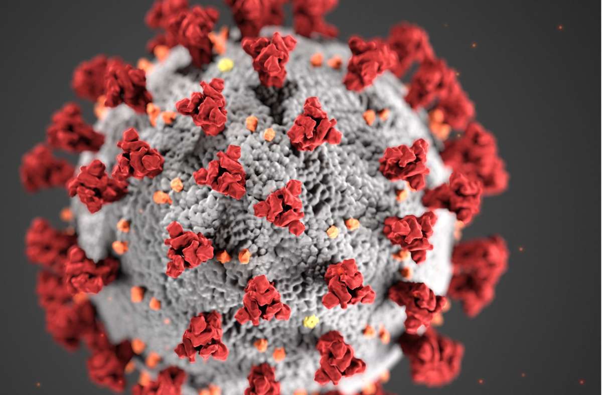 Coronavirus: G7-Länder fordern neue WHO-Studie zu Corona-Ursprung