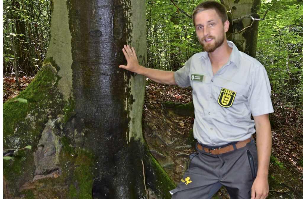 Benjamin Schuldt über die Besonderheiten des Waldes an der Egelseer Heide: Der Baumflüsterer