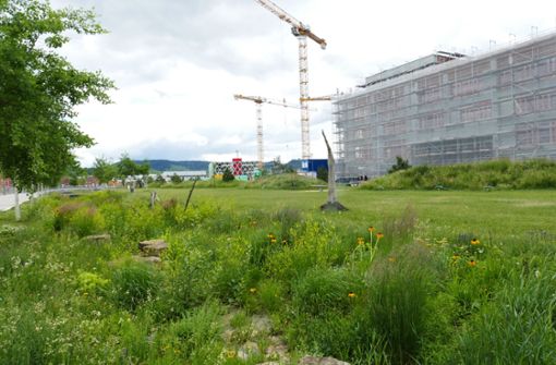 Rund um den Veielbrunnenpark entstehen die Gewerbebauten, die als Lärmschutz für den Wohnungsbau nötig sind. Foto: Uli Nagel