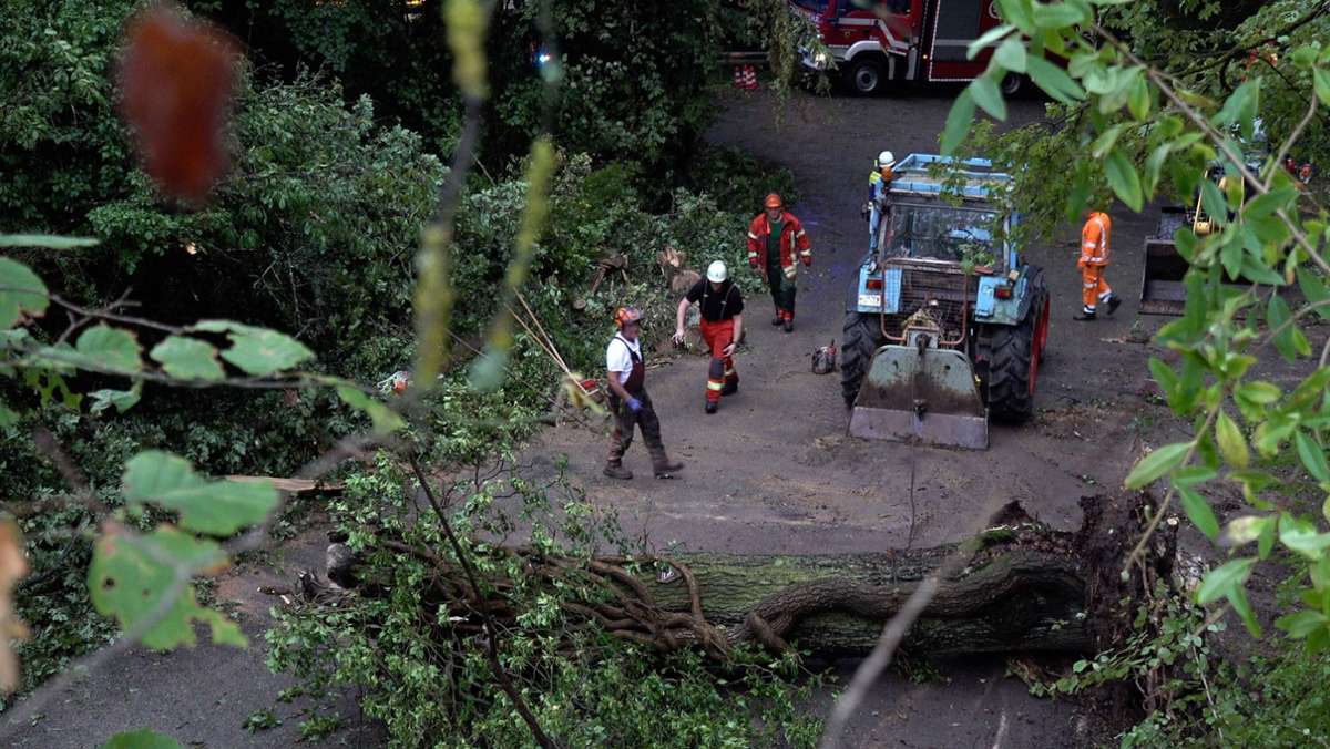 Stuttgart und Region: Mann von umstürzendem Baum erfasst – Gewitter wütet in der Region