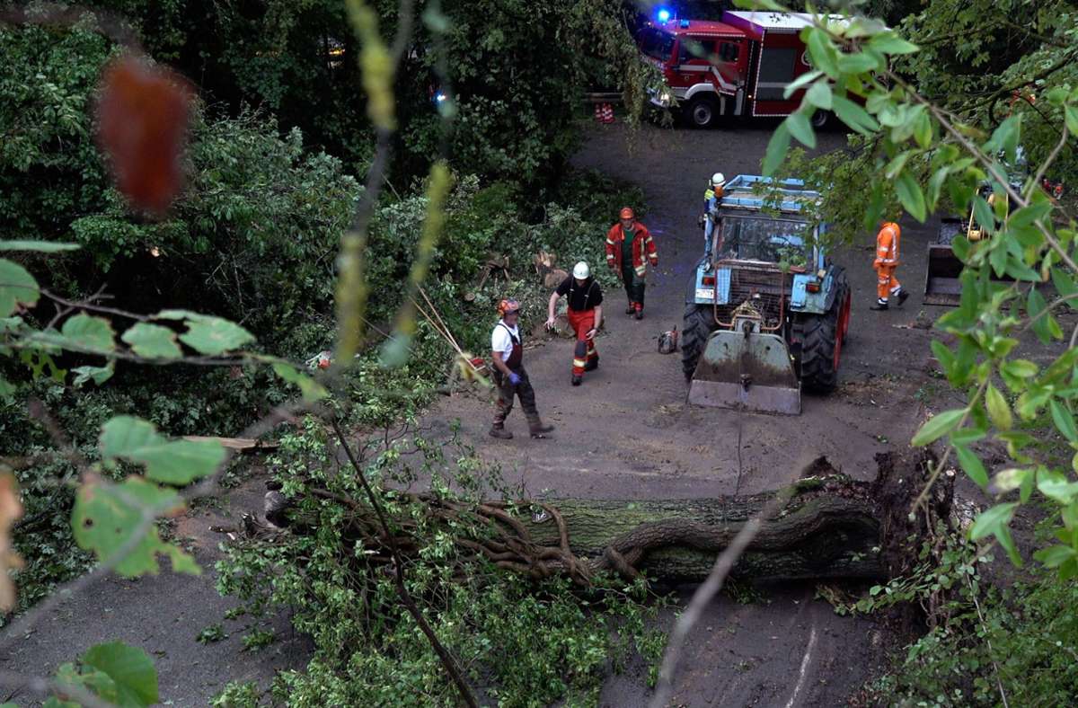 Stuttgart und Region: Mann von umstürzendem Baum erfasst – Gewitter wütet in der Region