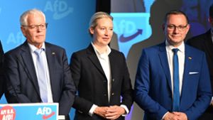 Europawahl: Der Elefant im Raum - AfD ohne Spitzenkandidat