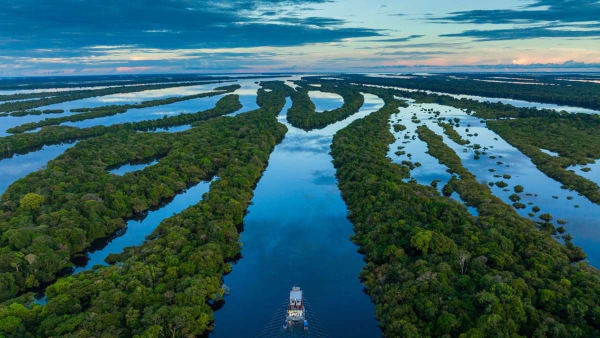 Reise nach Brasilien: Im Dschungel des Amazonas