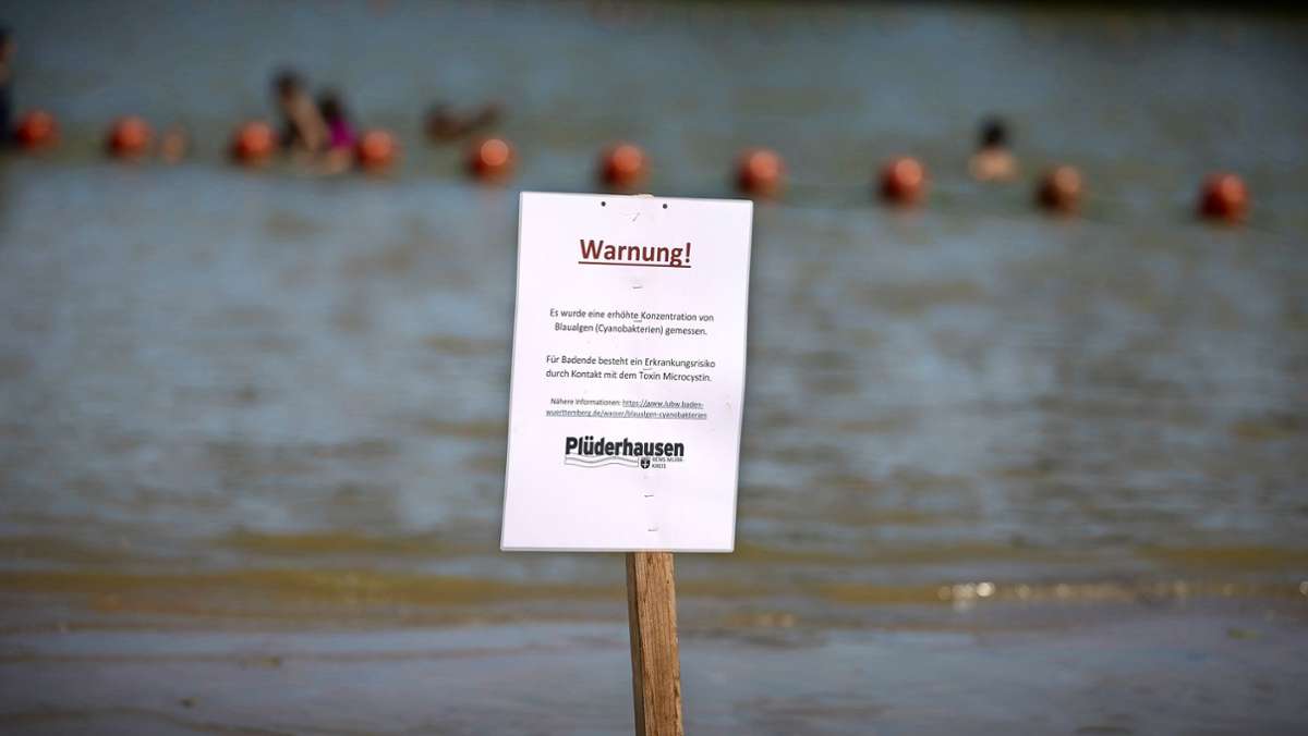 Blaualgen in Plüderhausen: Badesee ist teilweise gesperrt
