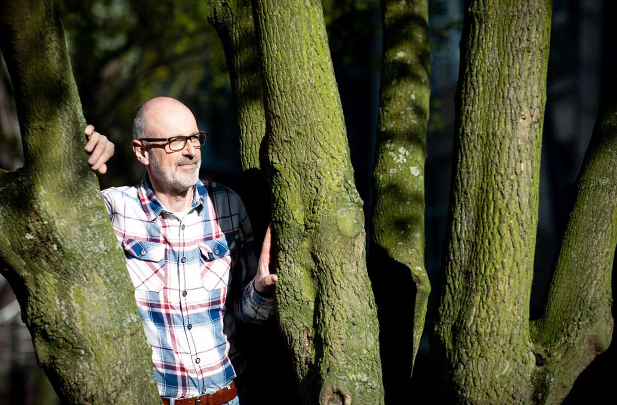 Das geheime Leben der Bäume: 3sat zeigt Doku mit Erfolgsautor Peter Wohlleben