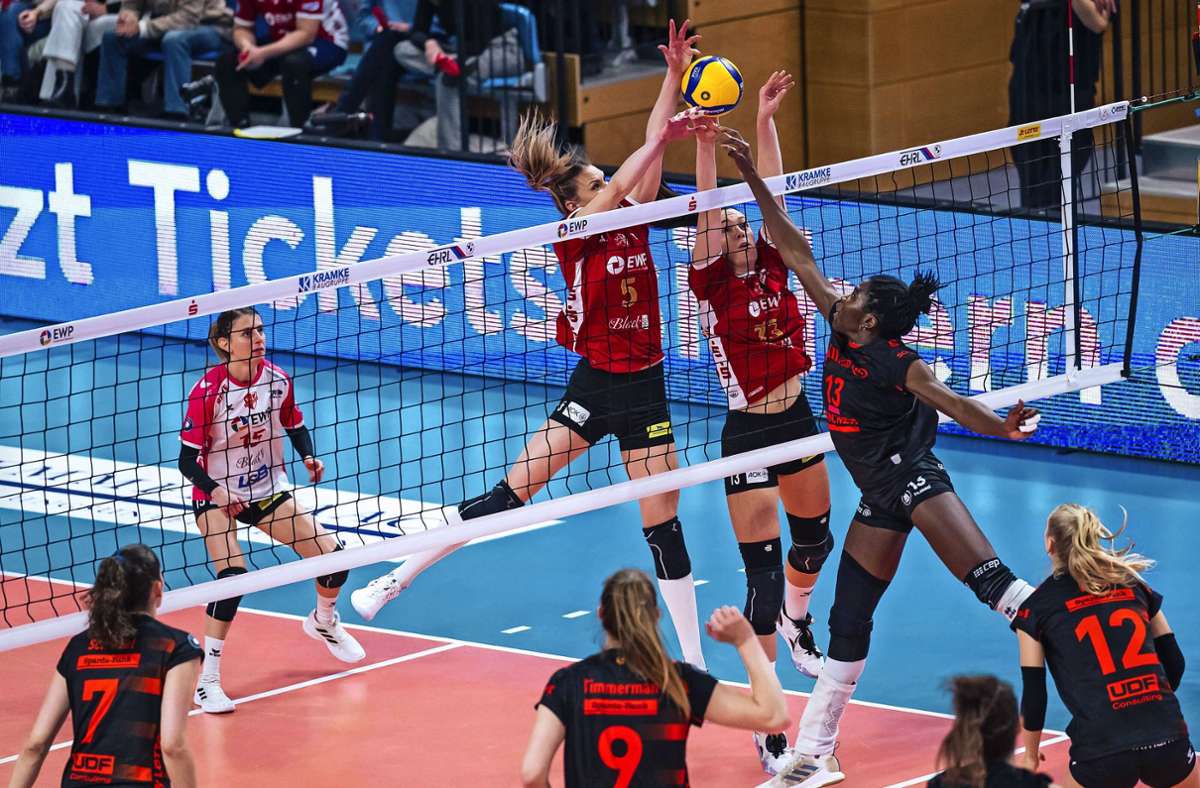 Niederlage in Potsdam: Stuttgarts Volleyballerinnen  verlieren Spitzenspiel