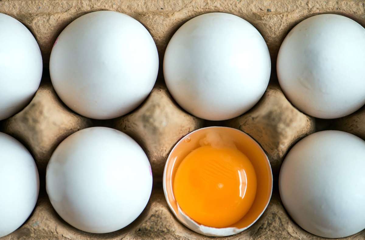 Rückruf bei Real und Hit: Mit Gift Dioxin belastet – Eier aus Freilandhaltung zurückgerufen