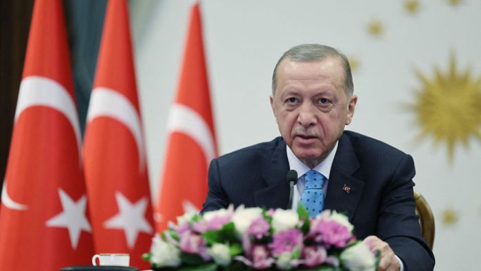 Erdogan verzichtet auf persönlichen Wahlkampfauftritt