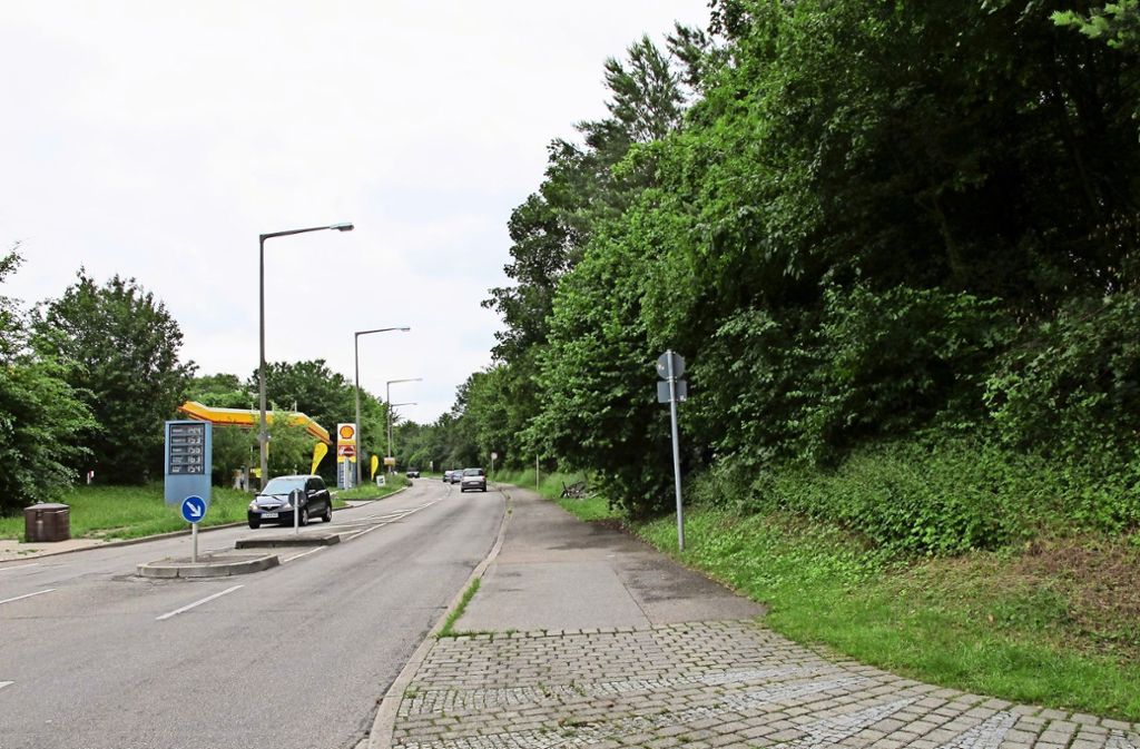 HofenStadt will Kreisverkehr im Seeblickweg für Doppelhaushalt anmelden: Zebrastreifen gewünscht