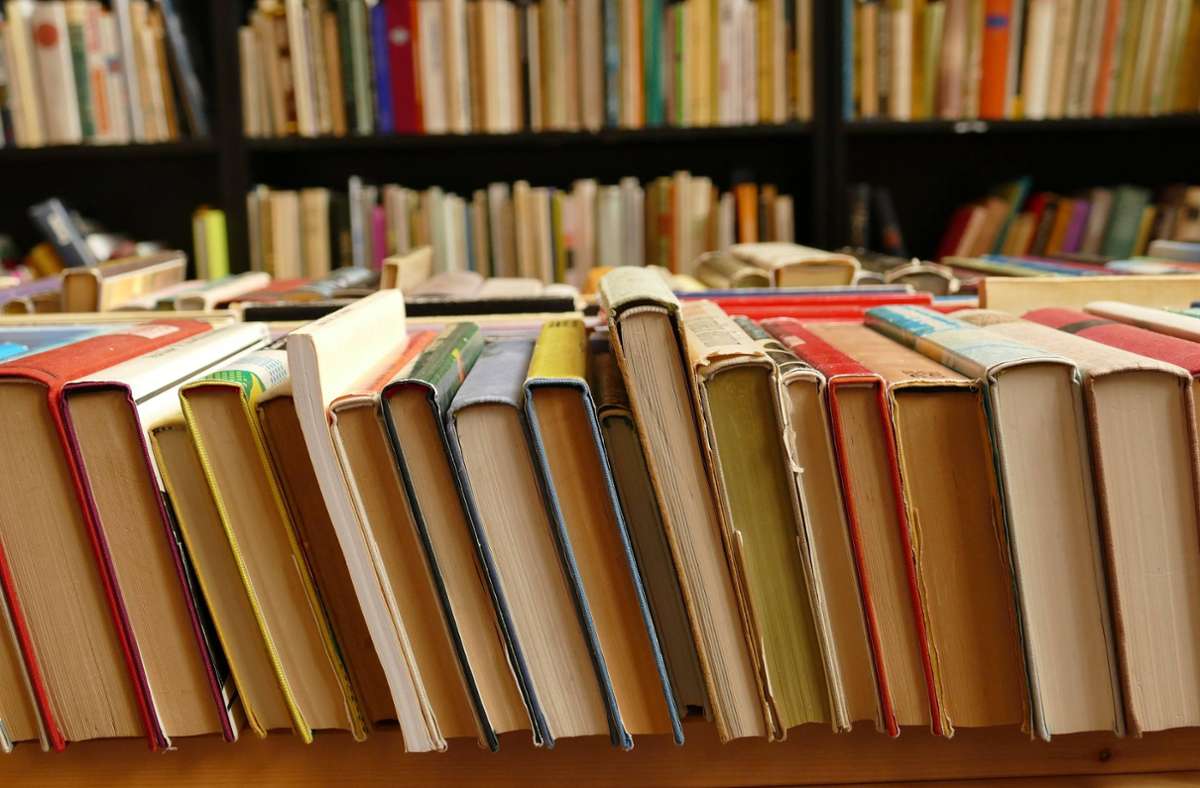 Diskussion um Bibliotheken: Können Büchereien im Kreis Ludwigsburg sonntags öffnen?