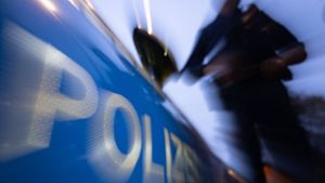 Polizei schnappt zwei jugendliche Randalierer