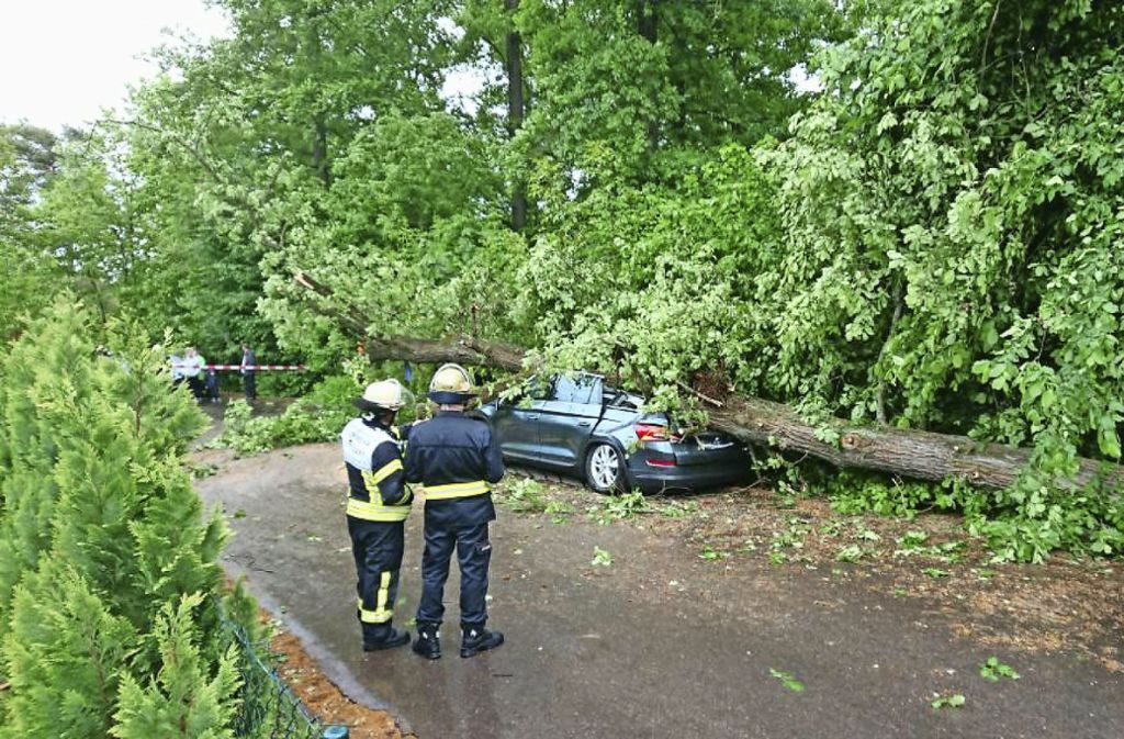Keine Verletzten auf der Waldebene Ost: Baum begräbt Auto unter sich
