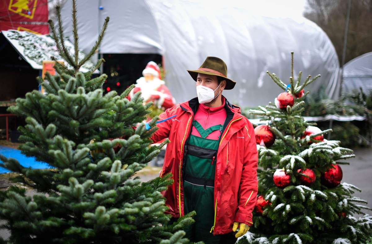 Der Verkauf von Christbäumen ist im Gange. Foto: Lichtgut/Max Kovalenko