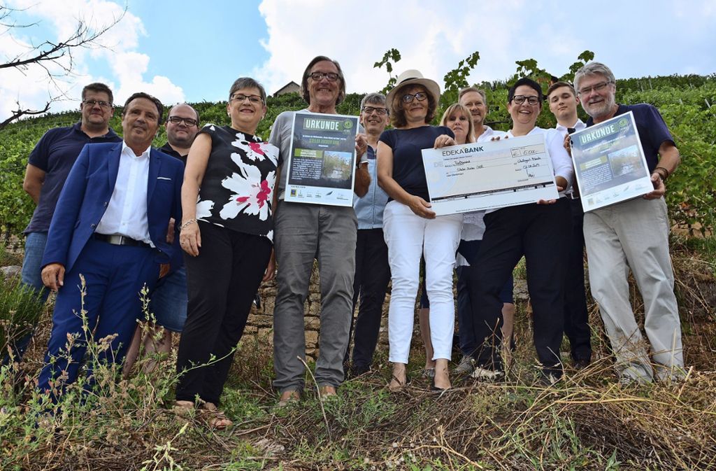 Weinbaugesellschaft will Trockenmauer mit Wildbienenbiotop bauen: Gelder helfen beim Naturschutz