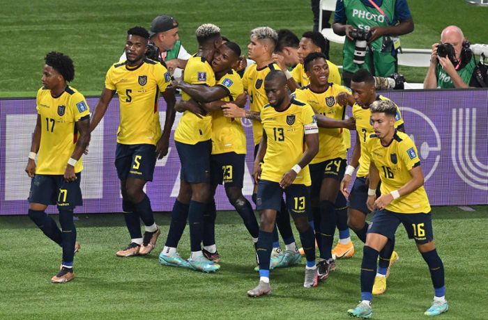 Fußball-WM in Katar: Senegal und Niederlande stehen im Achtelfinale