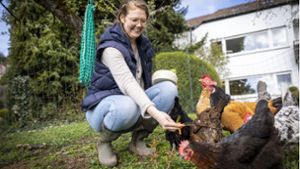 So gelingt die Hühnerhaltung im Garten