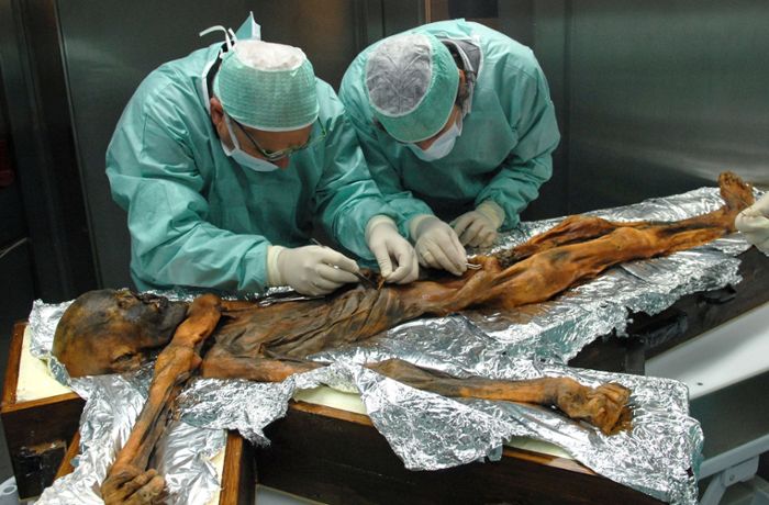Steinzeitmumie  Ötzi: Bekommt der populäre Urmensch eine neue letzte Heimstatt?