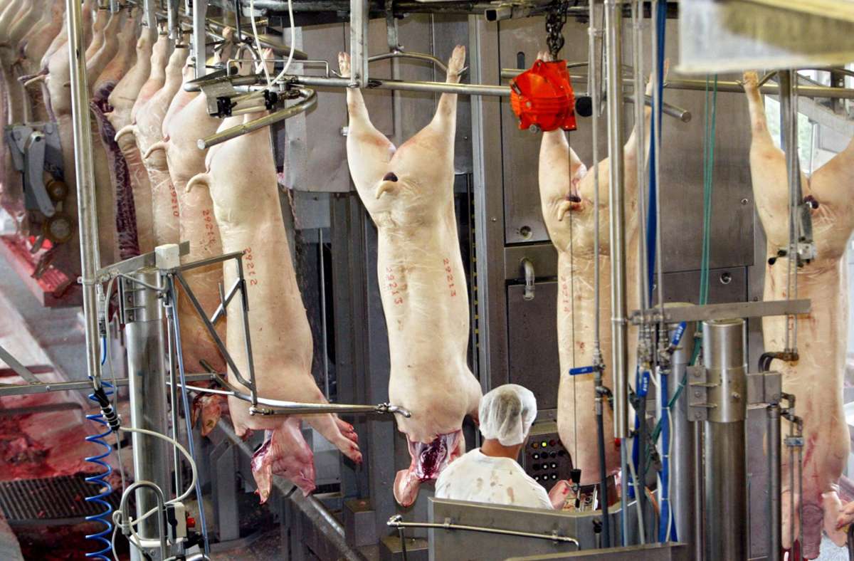 Schlachthöfe in Baden-Württemberg: Südwesten erzeugt niedrigste Fleischmenge seit 15 Jahren
