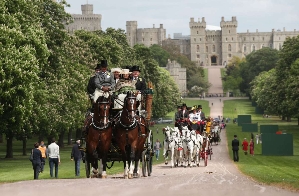 Für Schloss Windsor: Queen sucht neuen Gärtner - Gehalt überhaupt nicht königlich