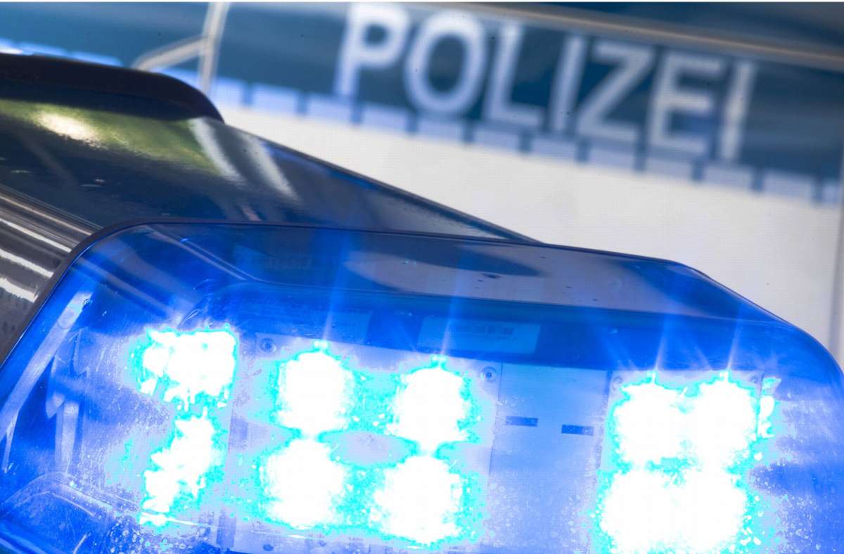 Polizeibericht aus Leonberg: Dreiste Diebe sind im Ramtel unterwegs