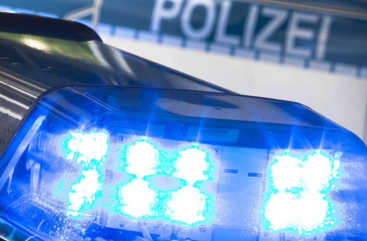 Polizeibericht aus Ditzingen: Unbekannte  brechen in Container ein