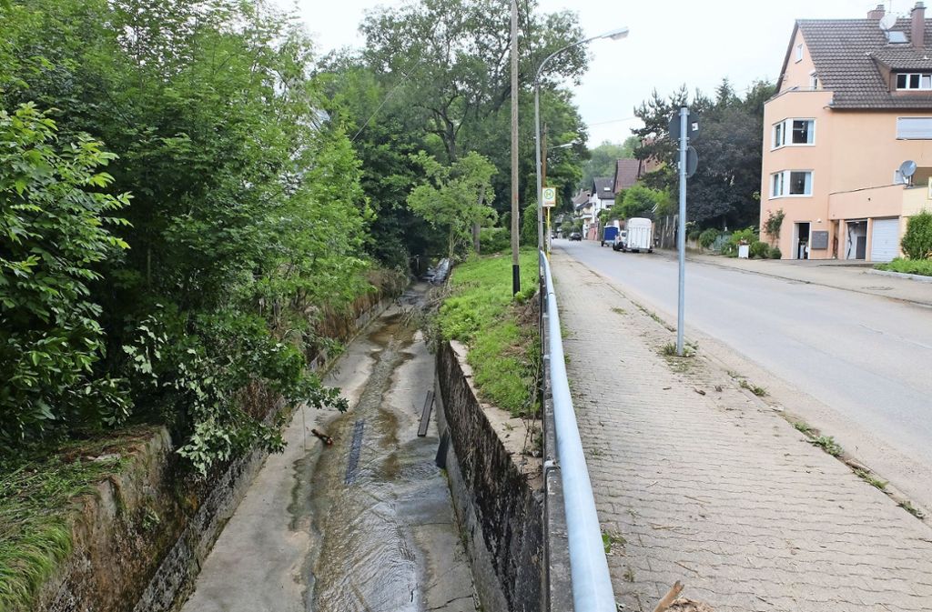 Stuttgart-Mühlhausen: Hochwasser-Gutachten wird erstellt