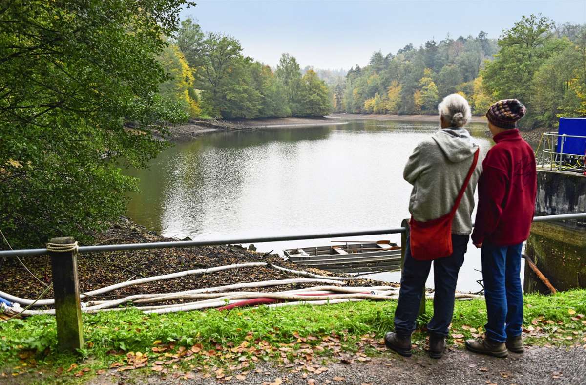 Dammsanierung im Stuttgarter Rotwildpark: Ablass des Bärensees erregt Gemüter