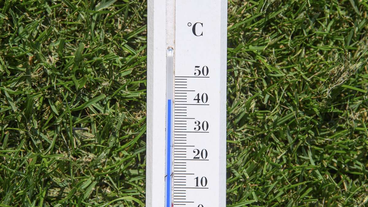 Hitze in Deutschland: DWD korrigiert Rekordwert – hier war es wirklich am heißesten