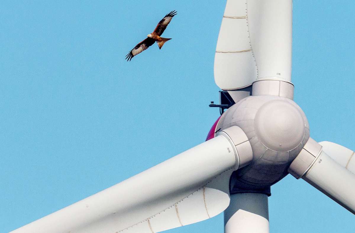 Windenergie in Baden-Württemberg: Naturschützer bremsen  ökologische Windkraftforschung
